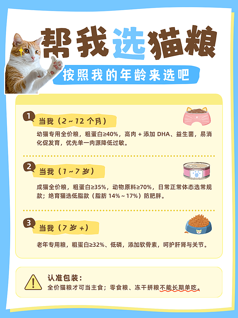 宠物猫粮购买攻略分享卡通感小红书配图