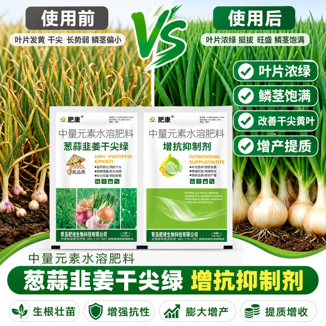 对比展示使用产品前后效果对比，使用后叶片浓绿，鳞茎饱满，拼多多电商1:1主图预览效果