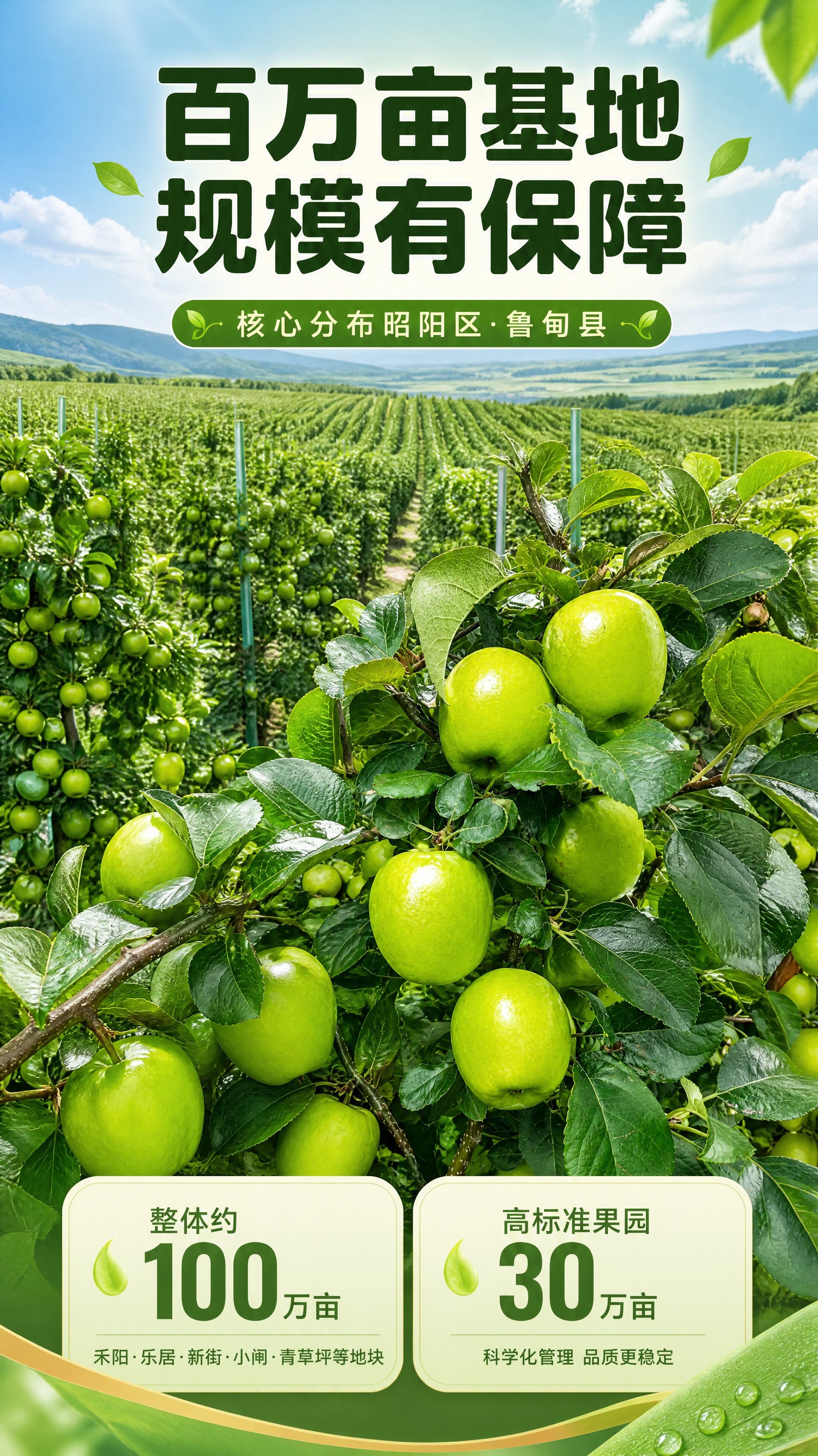 [商品] 使用【图3】密集挂果的青苹果枝条；保留苹果鲜亮青绿色… - 图片创意预览