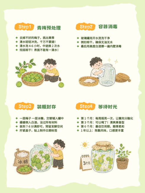 青梅酒制作教程可爱插画风小红书配图预览效果