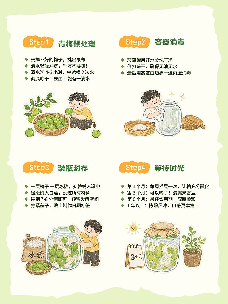 青梅酒制作教程可爱插画风小红书配图