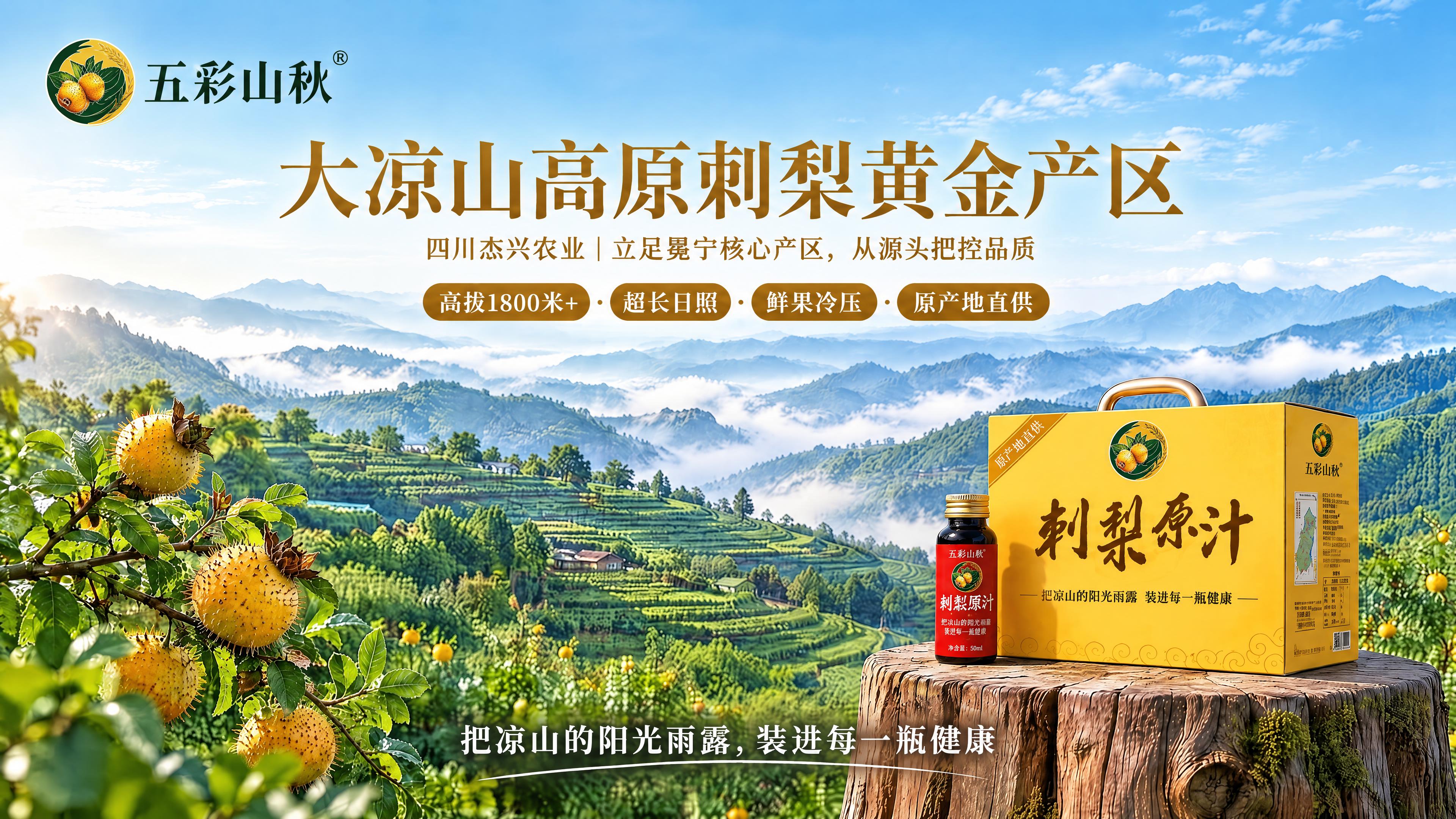 基于这张海报进行修改，重点修正以下问题：1. 左上角的logo… - 图片创意预览