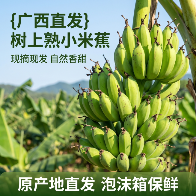 [主图 1] 广西树上熟小米蕉拼多多商品首图。[氛围风格] 真实生鲜实拍风，突出新鲜天然果园直供。[画质] 商业摄影质感、光线明亮通透、产品清晰真实、画面干净高级。[元素] 整串青绿色小米蕉在画面中心预览效果