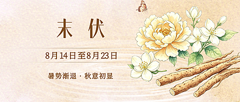 三伏天末伏祝福清新中式感通用微信公众号首图