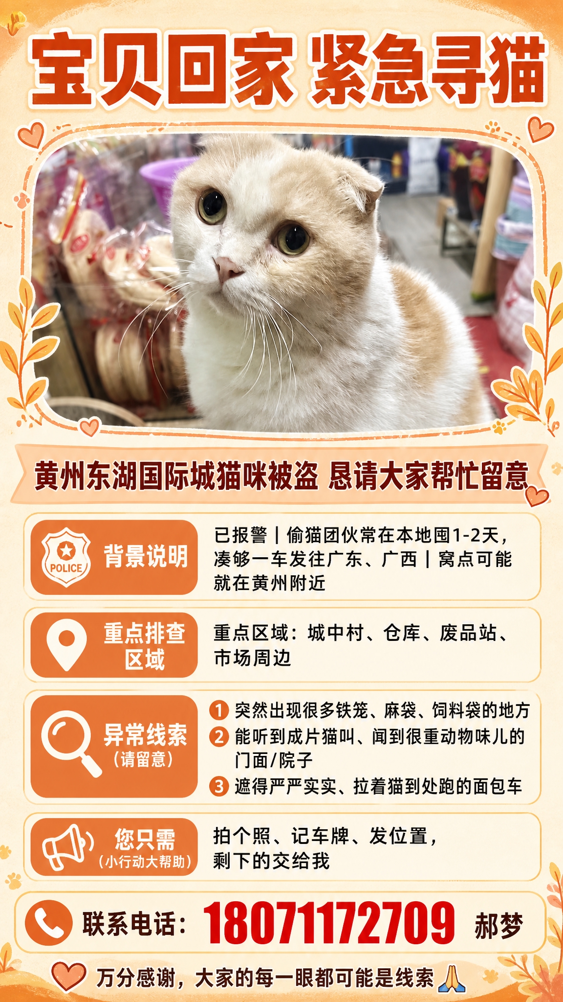 一张竖版寻猫启事海报，9:16比例，温暖恳切的风格。画面上半部… - 图片创意预览
