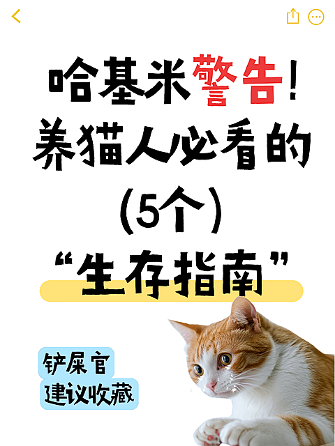 萌宠铲屎官养猫生存指南爆款梗图表情包吸睛引流小红书封面