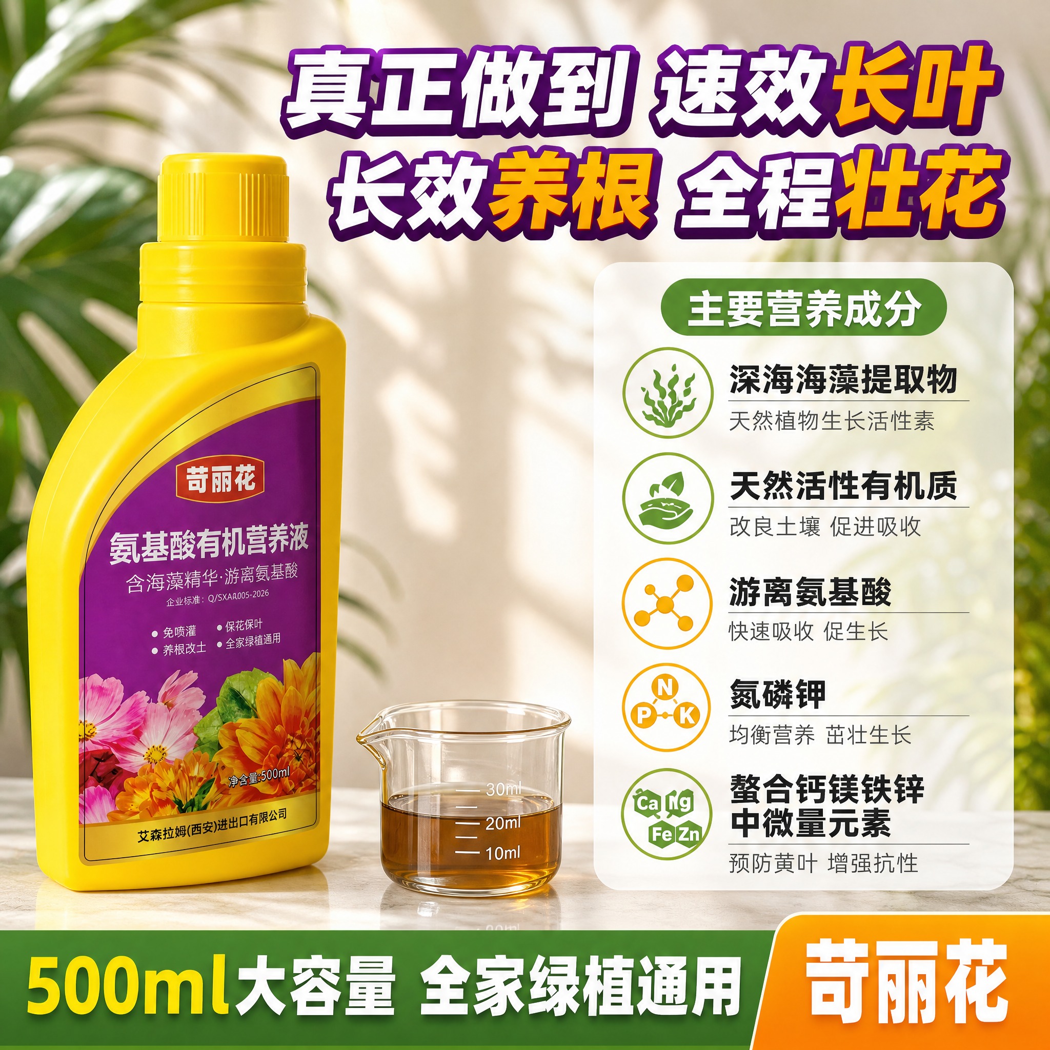 [主图-5] 产品成分总览与决策转化，展示主要营养成分和核心价… - 图片创意预览