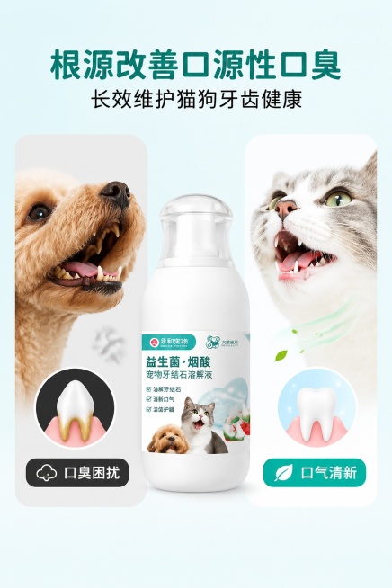 预览效果