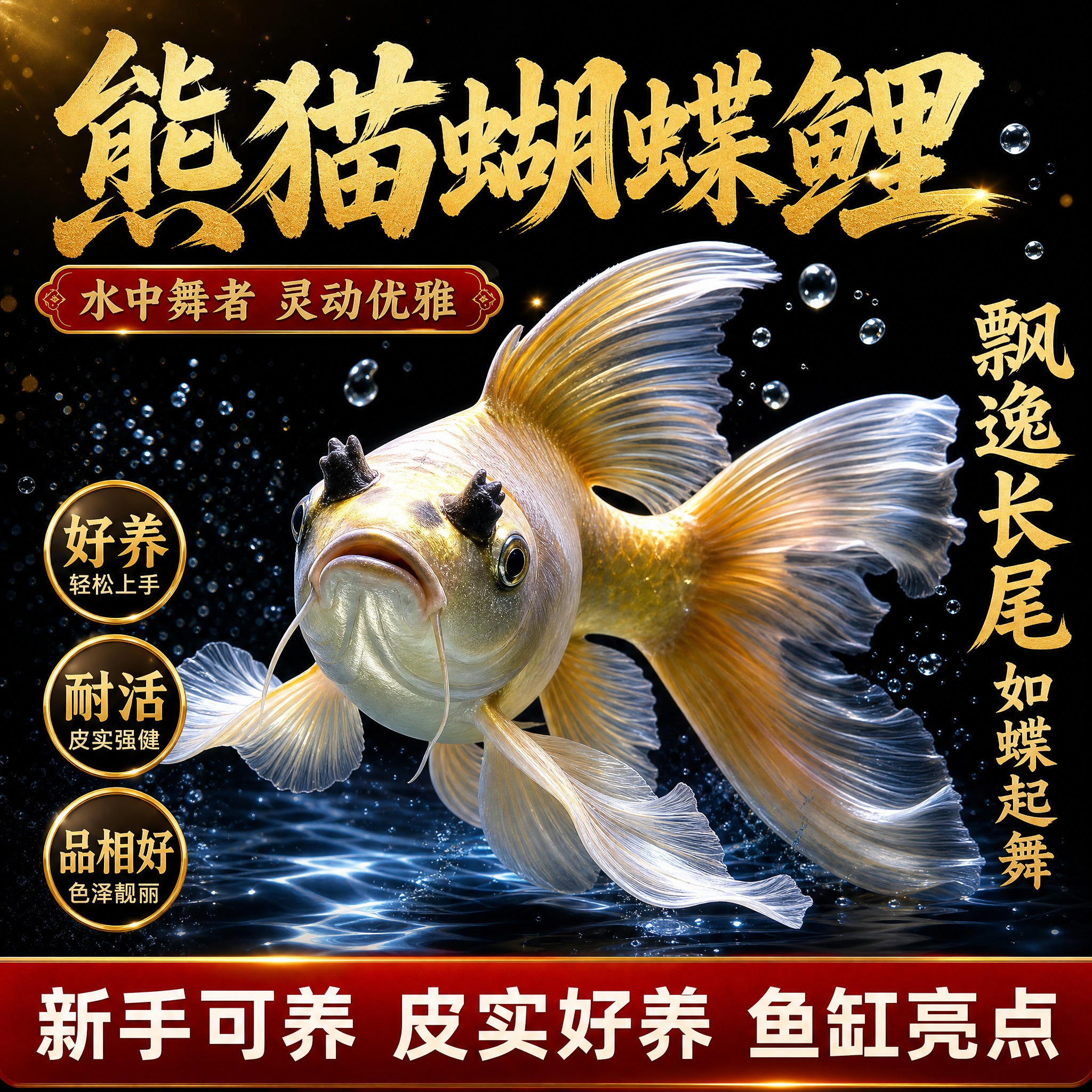 [主图-1] 首图点击率 熊猫蝴蝶鲤观赏鱼活体 核心利益点 水… - 图片创意预览