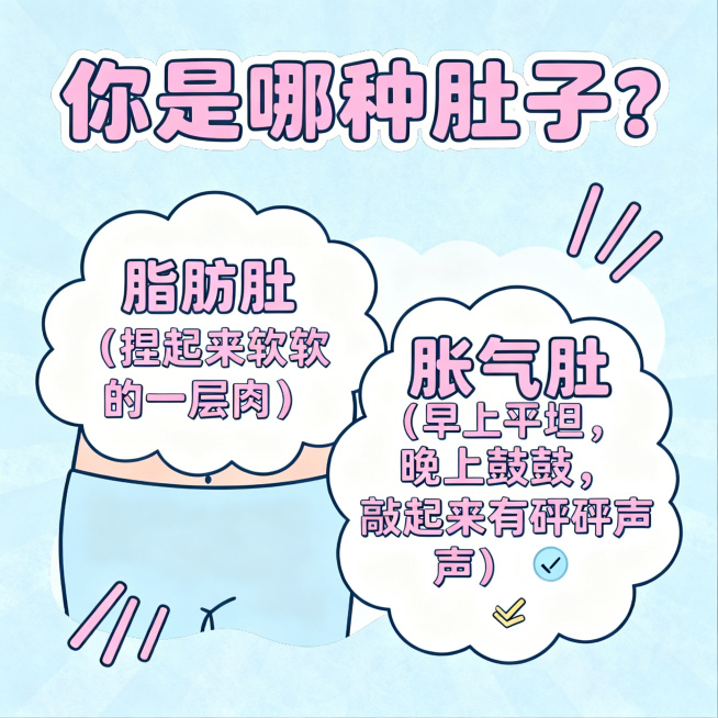 轻松卡通画风科普卡片，标题“你是哪种肚子？”，左侧文字“脂肪肚（捏起来软软的一层肉）”，右侧文字“胀气肚（早上平坦，晚上鼓鼓，敲起来有砰砰声）✅”，整体风格活泼可爱，无医学严肃感预览效果
