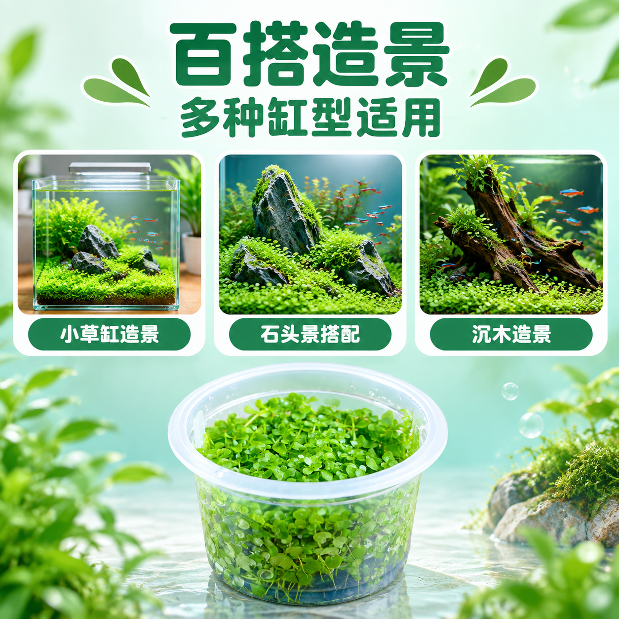 [主图-9] 造景搭配 适用场景 多种缸型适配 [统一基调]… - 图片创意预览