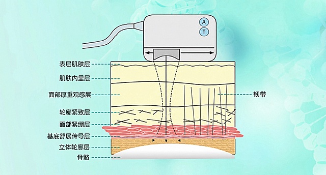 在原图基础上修改文字：将表皮层改为表层肌肤层，真皮层改为肌肤内里层，皮下脂肪层改为面部厚重观感层，筋膜层改为轮廓紧致层，肌肉层改为面部紧绷层，神经层改为基底舒展传导层，骨膜层改为立体轮廓层。删除三个箭头形的方框与文字，其余构图、颜色、内容全部保持不变。