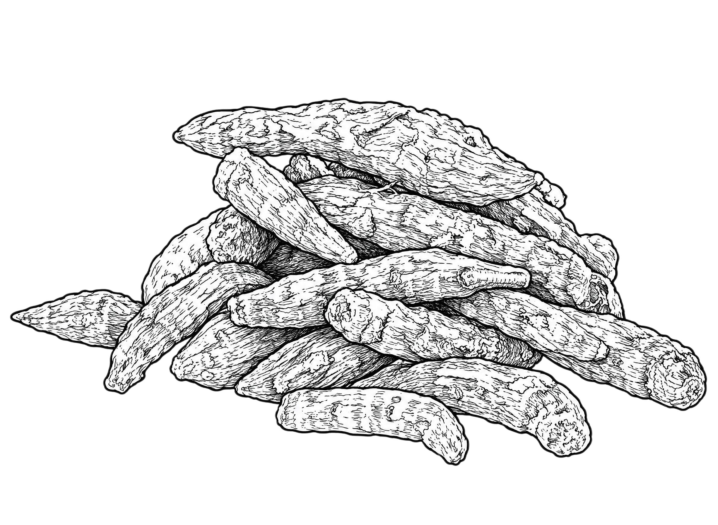 将图片中的香附子药材转化为黑白线稿风格，保留药材的堆叠形态和纹… - 图片创意预览