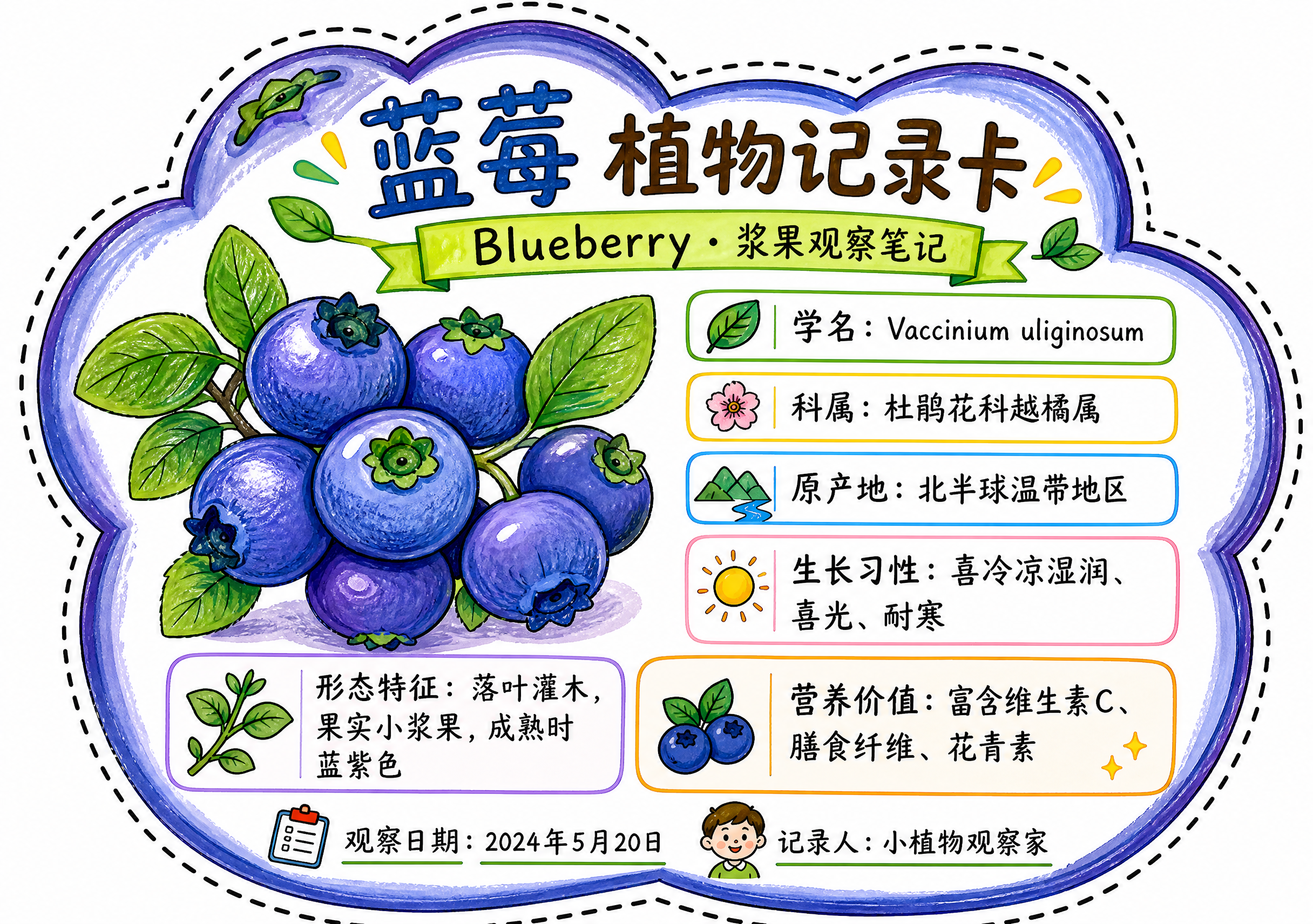 参考图中的版式布局和手绘风格，制作一张蓝莓异形植物记录卡。整体… - 图片创意预览