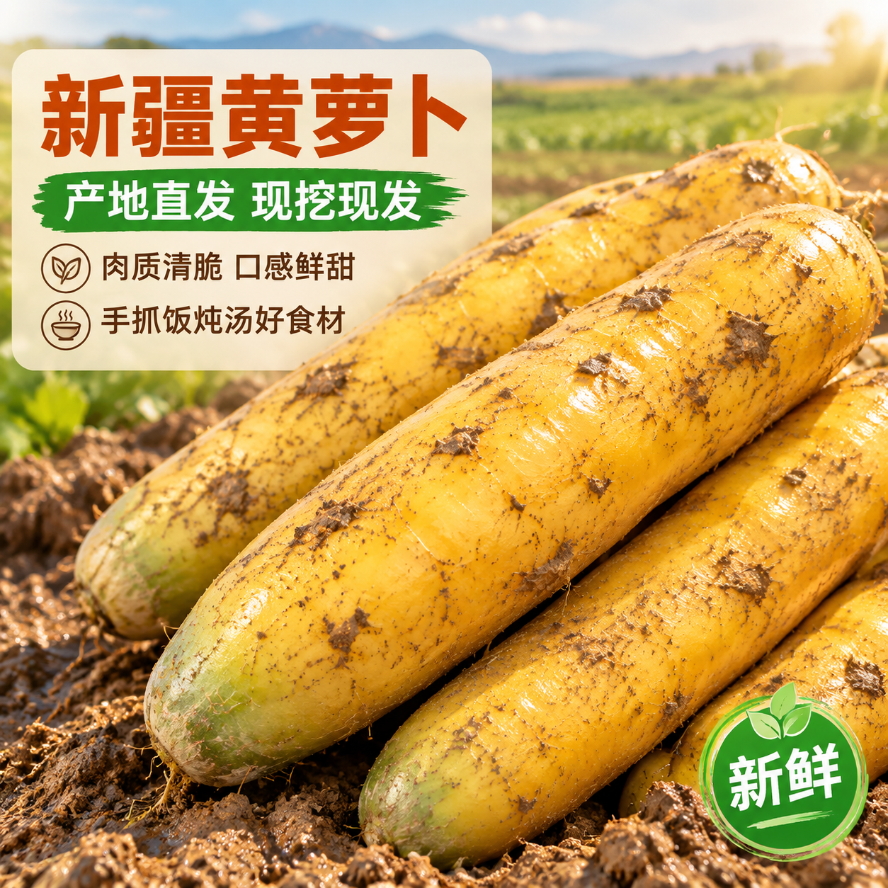 [主图-1] 首图点击率，主题：新疆黄萝卜 产地直发 新鲜现挖… - 图片创意预览