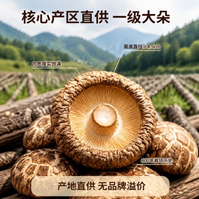 [主图-2] 调整为1:1正方形比例的干香菇产地溯源主图，保留全部原有文字内容和产品构图
[调整要求] 保持产品外观、文字内容、配色风格和所有信息完全不变，仅裁剪调整为1:1正方形构图，保证主体产品、预览效果