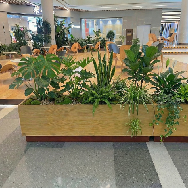 把这些绿植种植到图片中木箱子里预览效果