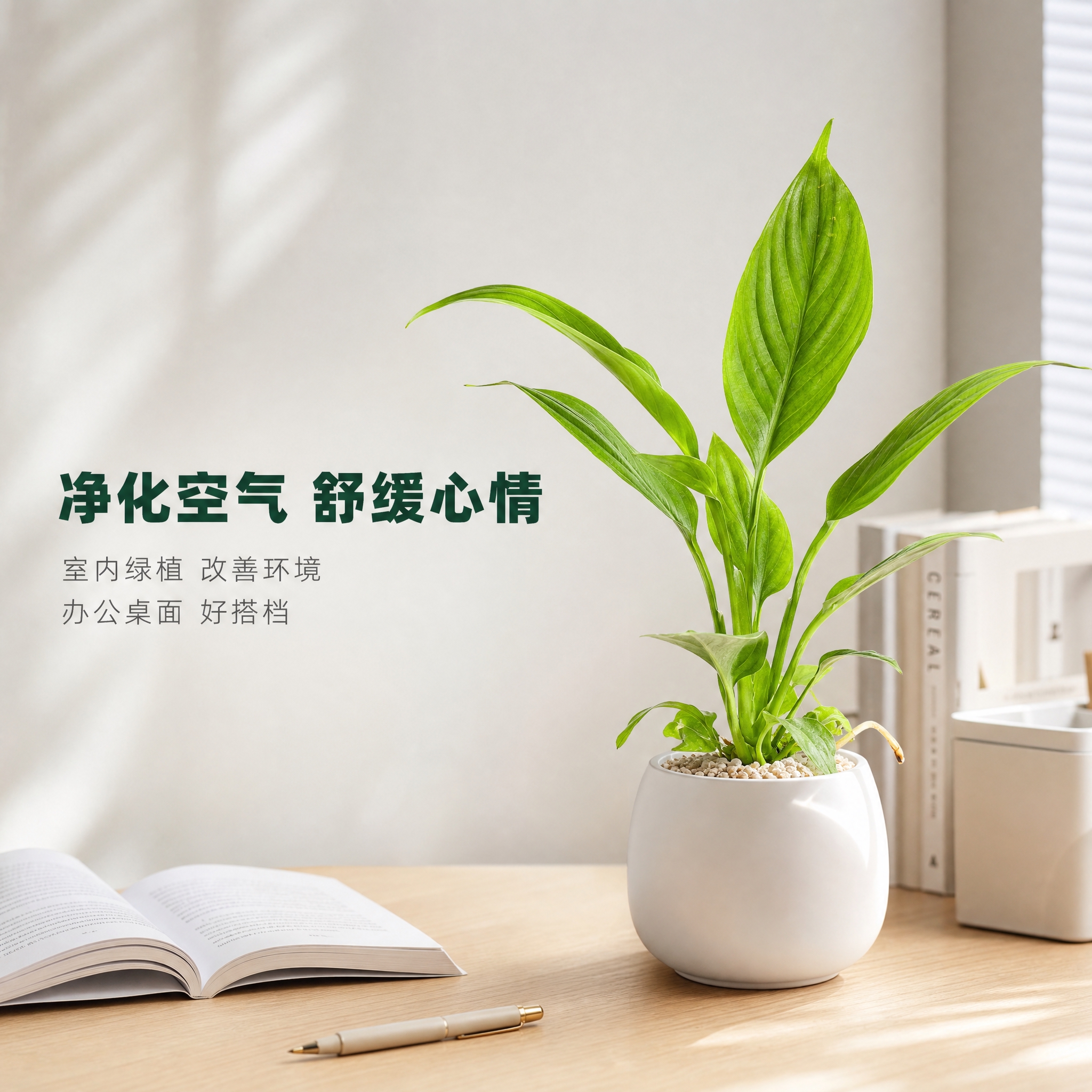 [主图-5] 室内桌面场景图，美酒白掌摆放在书桌/办公桌场景，… - 图片创意预览