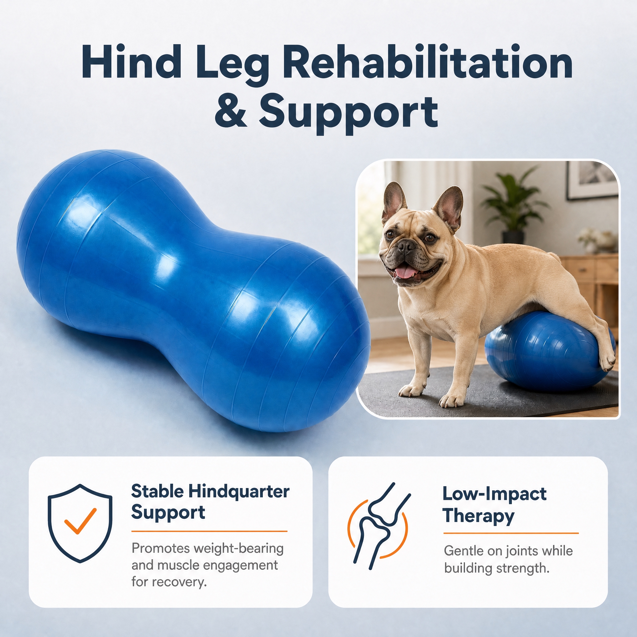 Hind Leg Rehabilitation & Suppo… - 图片创意预览