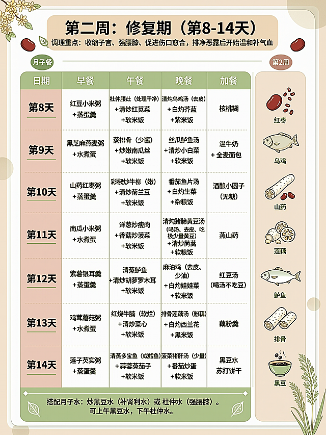 按照上一张月子餐安排表的风格，制作一张3:4比例的第二周月子餐安排表图片，使用表格形式规整排列所有文字，不更改原文字和标点，每个文字都清晰可见，保留所有原内容：第二周：修复期（第8-14天）
调理重点：收缩子宫、强腰膝、促进伤口愈合，排净恶露后开始温和补气血。
搭配月子水：炒黑豆水（补肾利水）或 杜仲水（强腰膝）。可上午黑豆水，下午杜仲水。

每日餐单
第8天

早餐：红豆小米粥 + 蒸蛋羹

午餐：杜仲腰花（处理干净）+ 清炒红苋菜 + 软米饭

晚餐：清炖乌鸡汤（去皮）+ 白灼芥蓝 + 紫米饭

加餐：核桃糊

第9天

早餐：黑芝麻燕麦粥 + 水煮蛋

午餐：蒸排骨（少酱）+ 炒嫩南瓜丝 + 软米饭

晚餐：丝瓜鲫鱼汤 + 清炒小白菜 + 软米饭

加餐：温牛奶 + 全麦面包

第10天

早餐：山药红枣粥 + 蒸蛋羹

午餐：彩椒炒牛柳（嫩）+ 清炒荷兰豆 + 软米饭

晚餐：番茄鱼片汤 + 白灼生菜 + 杂粮饭

加餐：酒酿小圆子（无糖）

第11天

早餐：南瓜小米粥 + 水煮蛋

午餐：洋葱炒瘦肉 + 香菇炒油菜 + 软米饭

晚餐：清炖猪蹄黄豆汤（喝汤、去皮、吃极少量黄豆）+ 清炒茼蒿 + 软米饭

加餐：蒸山药

第12天

早餐：紫薯银耳羹 + 蒸蛋羹

午餐：清蒸鲈鱼 + 清炒胡萝卜木耳 + 糙米饭

晚餐：麻油鸡（去皮、少油）+ 白灼娃娃菜 + 软米饭

加餐：红豆汤（喝汤不吃豆）

第13天

早餐：鸡茸蘑菇粥 + 水煮蛋

午餐：红烧牛腩（软烂）+ 清炒菜心 + 软米饭

晚餐：排骨莲藕汤（粉藕）+ 白灼西兰花 + 黑米饭

加餐：藕粉羹

第14天

早餐：莲子芡实粥 + 蒸蛋羹

午餐：清蒸多宝鱼（或鳕鱼）+ 蒜蓉蒸茄子 + 软米饭

晚餐：菠菜猪肝汤（少量猪肝）+ 番茄炒蛋 + 软米饭

加餐：黑豆水 + 苏打饼干。将调理重点、月子水等注意事项放在图片下方，在图片右侧添加清淡简约的食物养生类插画，整体风格干净简约清晰，保证文字不拥挤，所有文字完整显示。
