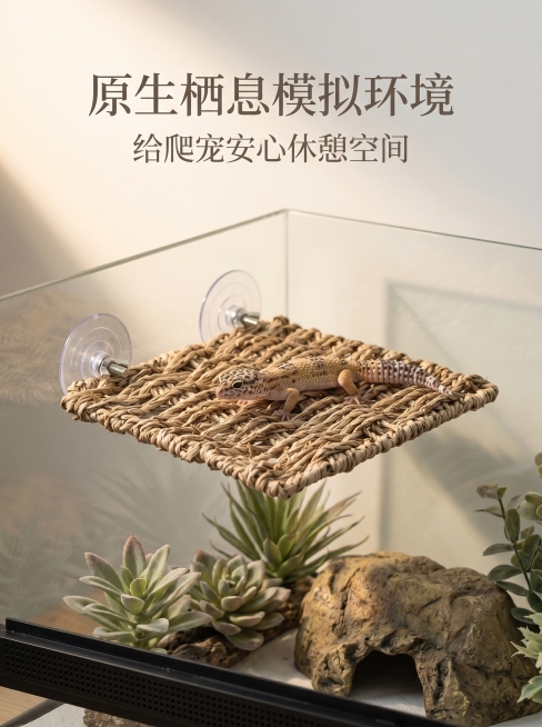 严格还原上传产品参考图，精准复刻包装设计、产品配色、LOGO 位置及比例、文字内容及字体、图案元素及细节，无任何偏差，色彩无失真；产品与画面中其他物体（道具、手持模型、场景元素等）的比例遵循真实物理空预览效果