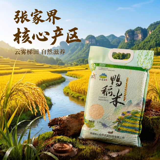 更换场景预览效果