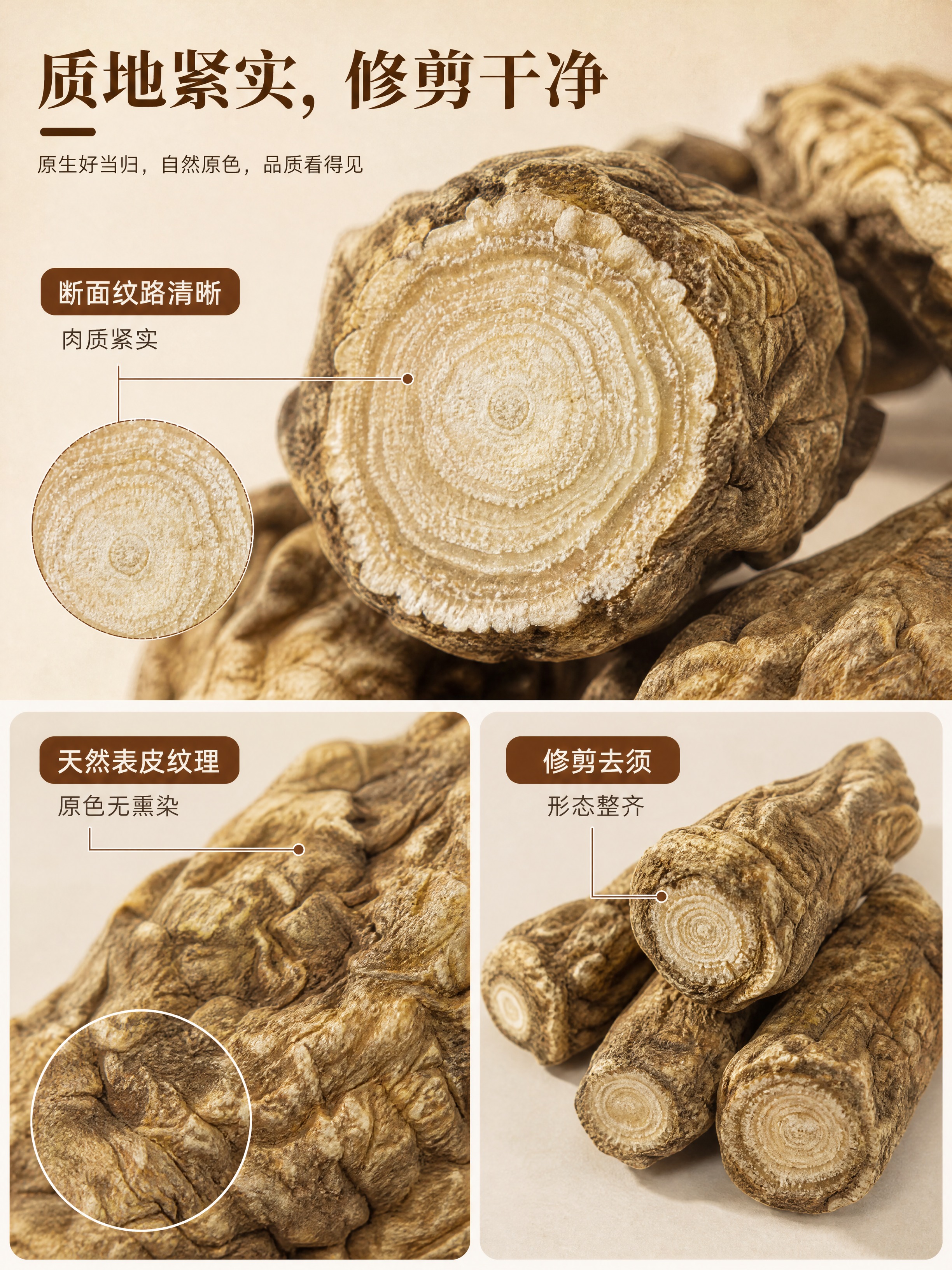 [商品] 使用【图1】【图2】精品当归头，重点展示断面和表皮细… - 图片创意预览