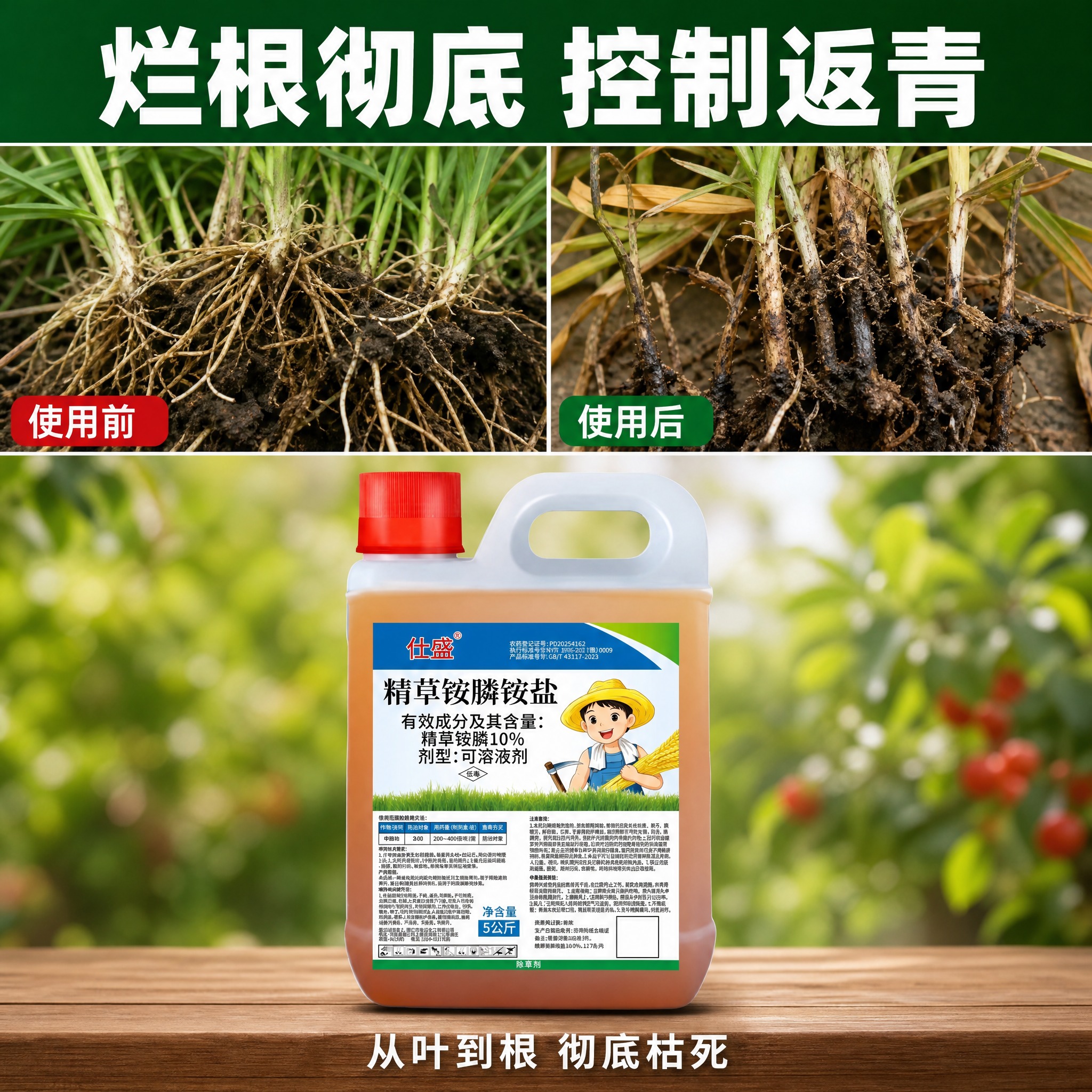 [主图-3] 烂根彻底效果证明，前后对比。 [统一基调] 京东… - 图片创意预览