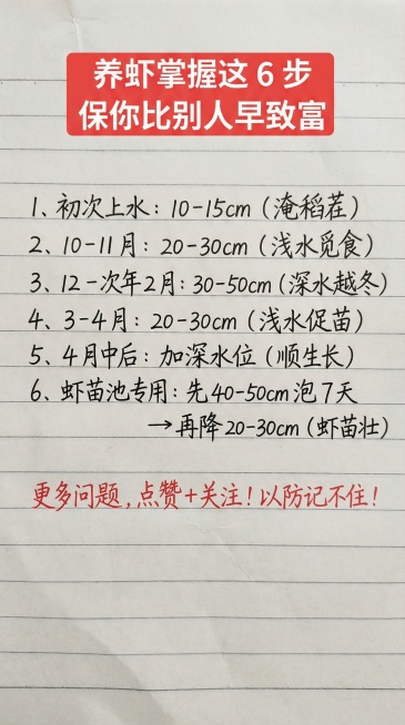 养虾掌握这 6 步
保你比别人早致富
1、初次上水：10-15cm（淹稻茬）
2、10-11 月：20-30cm（浅水觅食）
3、12 -次年 2 月：30-50cm（深水越冬）
4、3-4 月：20预览效果