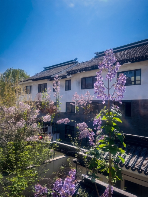 优化图片，生成专业摄影师拍摄效果，适当调整构图，保留原图中蓝花楹与江南徽派建筑的内容，提升画质和光影层次预览效果