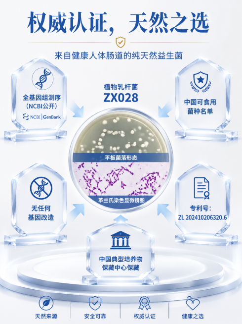 完全对称的权威感构图。中心是植物乳杆菌ZX028的平板菌落形态照片和革兰氏染色显微镜图。四周环绕着数个发光的水晶认证标签，形成一堵“认证墙”。标签包括： “全基因组测序（NCBI公开）”、“中国可食用预览效果