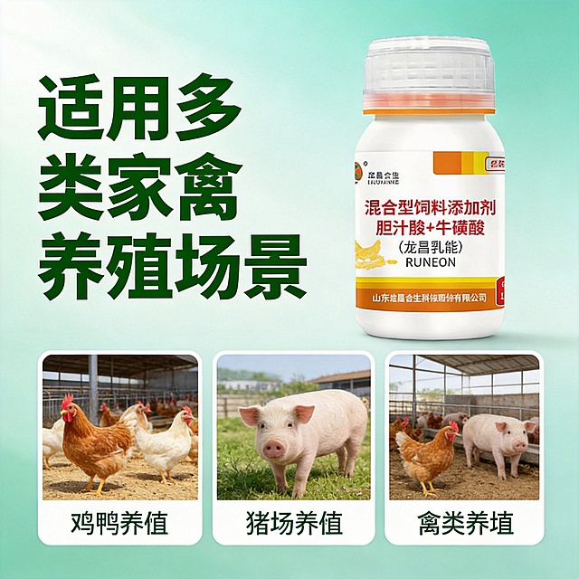[主图-4] 家禽胆汁酸多场景适用展示，采用上标题下方宫格版式
[氛围风格] 生活化实用展示，清晰直观
[画质] 商业广告质感，画面清晰干净，文字清晰可辨
[元素] 产品瓶身放在上方偏右位置，保持产品外观与输入产品图绝对一致，杜绝变形和色差。下方3宫格分别展示鸡鸭养殖、猪场养殖、禽类养殖场三个适用场景小图，小图风格统一，光影一致。商品整体占比合理，满屏无边框
[光影] 整体光线均匀柔和，产品和场景区域亮度一致，视觉舒适
[配色] 浅青绿色渐变背景，宫格用白色边框区分，文字用深绿色，整体清新干净
[视角构图] 主体在上宫格在下的组合构图，整体平衡，信息清晰
[文字版式] 顶部主标题“适用多类家禽养殖场景”深绿色加粗大字；下方每个宫格角落标注场景名称，文字清晰不遮挡场景内容；文字大小对比清晰
[比例分辨率] 1:1比例，2048px×2048px，2K分辨率，文字清晰锐利，超高清
[负向提示词] 变形，水印，文字错乱，产品图模糊，背景杂乱，遮挡主体