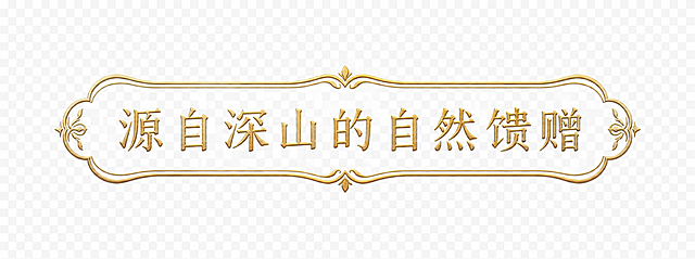 提取右上角"源自深山的自然馈赠"的装饰外框，包含框内文字。外框为复古欧式花纹装饰边框，两端有卷草花纹装饰，整体呈横向椭圆徽章形状，边框和文字均为暖金色/浅金色，带有细腻的金属质感和轻微浮雕效果。背景为完全透明（PNG透明底），只保留金色外框和文字，去除所有山林背景和其他元素。边框线条精致细腻，花纹典雅，文字清晰，整体风格复古华贵。