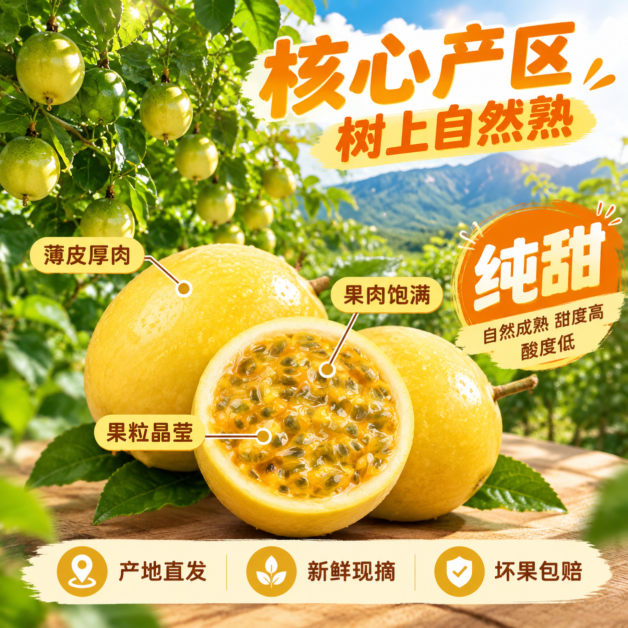 [主图-2] 产地溯源与品质信任主图 [统一基调] 淘宝/天猫… - 图片创意预览