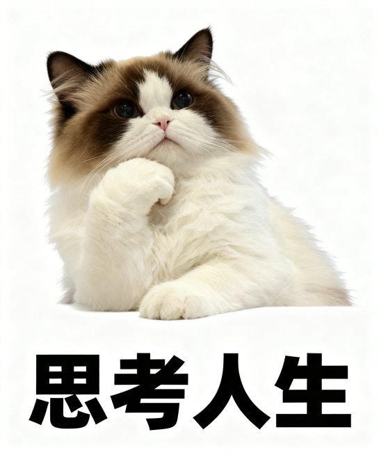 将图中的橘白猫咪替换为图二的棕白布偶猫，保持猫咪托腮思考的姿势、白色背景和下方“思考人生”的黑色粗体文字不变预览效果