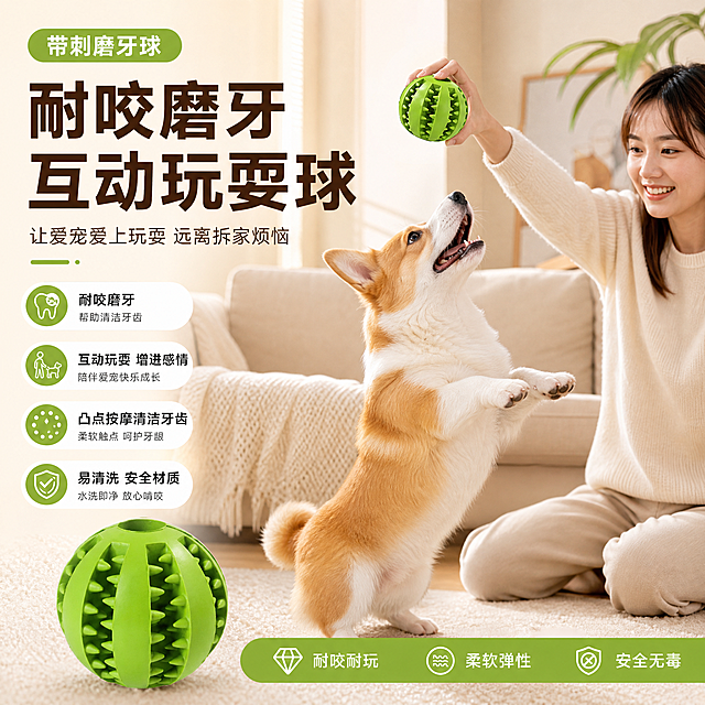 电商宠物玩具商品卡，绿色带刺磨牙球，主人在家和柯基互动玩耍玩具，温馨居家风格，带卖点文字排版，参考示例构图，1:1正方形