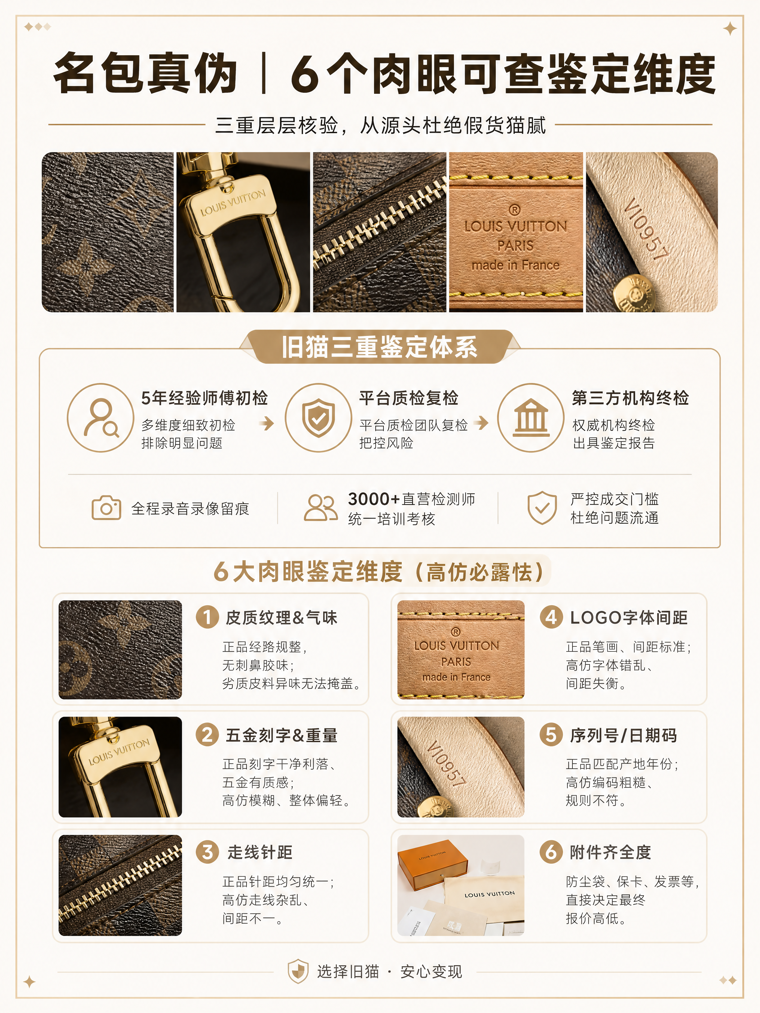 小红书笔记内页图文，ins清新轻奢风，版式精美，小红书笔记质感… - 图片创意预览
