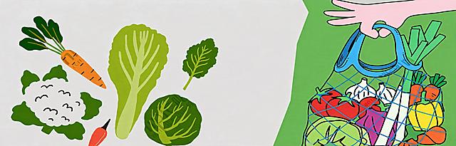 参考图的整体构图和蔬菜元素全部保留，去除所有文字和水印，画面干净无任何文字，保持扁平插画风格，横版构图，左侧为多种蔬菜插画，右侧为手提网袋装满蔬菜的插画，色彩鲜艳明快