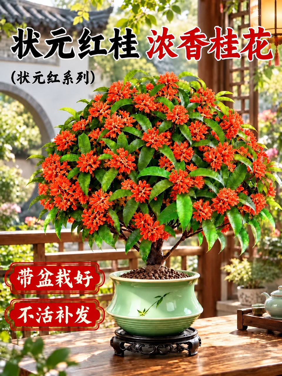 将左下角红色标签中的文字“不活包赔”改为“不活补发”，字体样式… - 图片创意预览