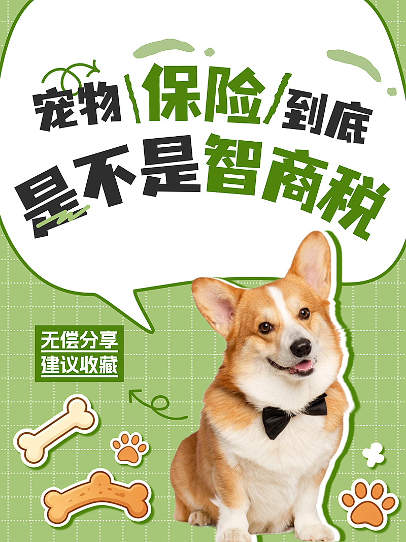 宠物保险智商税避雷分享小红书封面