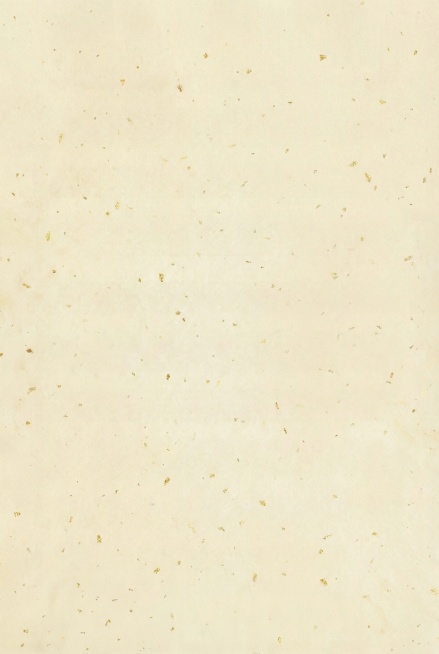 不要边框，不要横线预览效果