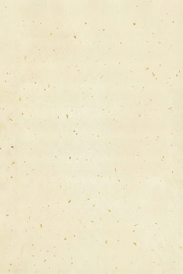 不要边框，不要横线