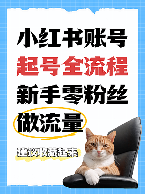 新手零粉丝小红书账号起号全流程知识分享猫咪表情包小红书配图
