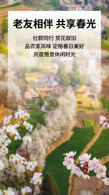 确认预览效果