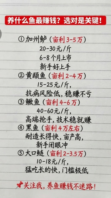 在带横线条的笔记本纸张背景上，顶部红色标题区域写白色文字："养什么鱼最赚钱？选对是关键！"，下方按顺序排版文字内容：
①加州鲈（<font color="#ff0000">亩利 3-5 万</font预览效果