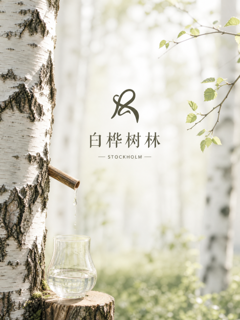 「图片1」「图片1」「图片1」「图片1」「图片1」「图片1」图1为产品图，图2图3是logo和品牌名，图4是模板 ，图5、6是白桦树汁采取过程图片，根据参考图的产品帮我生成一个白桦树林售后服务暖心卡，预览效果