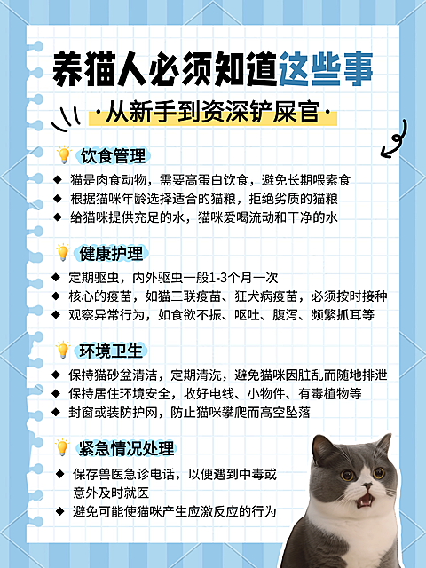 蓝色卡通可爱感养猫养宠知识科普小红书配图