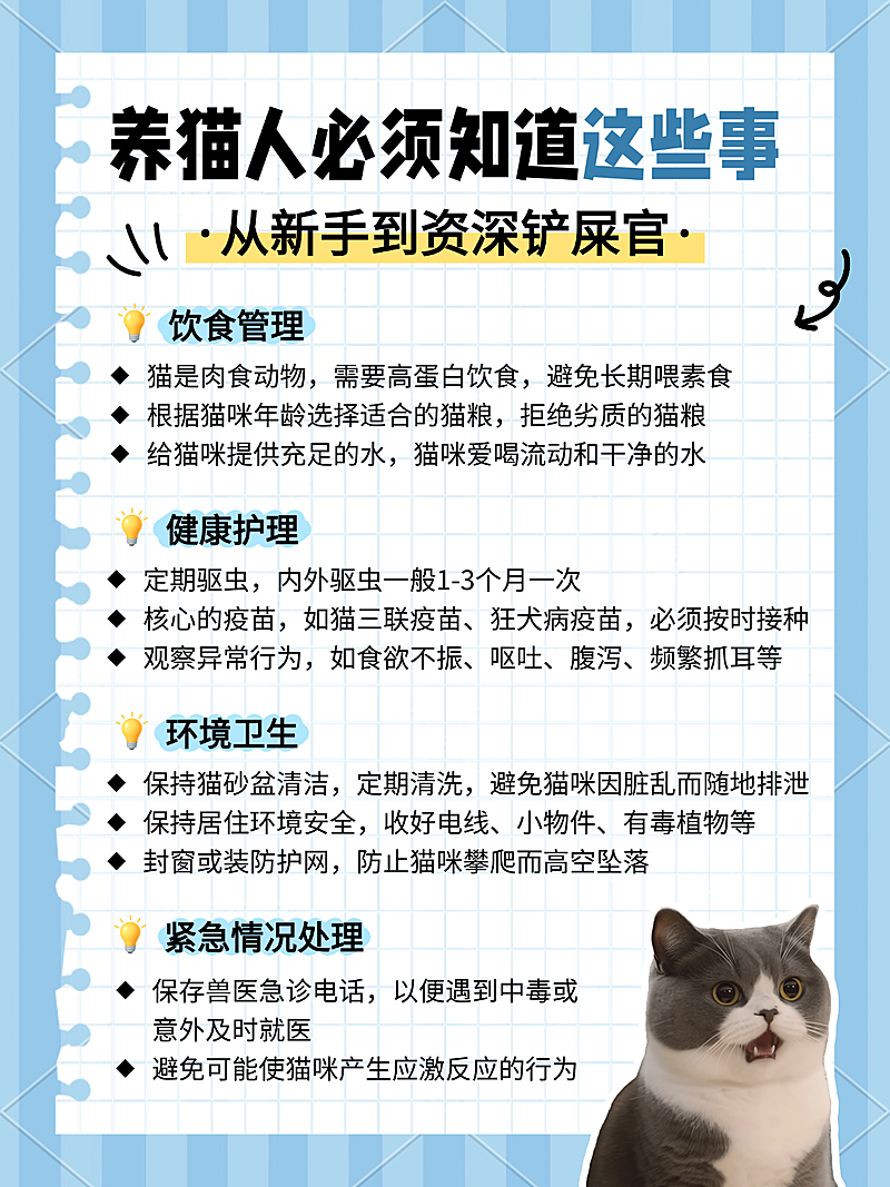 蓝色卡通可爱感养猫养宠知识科普小红书配图