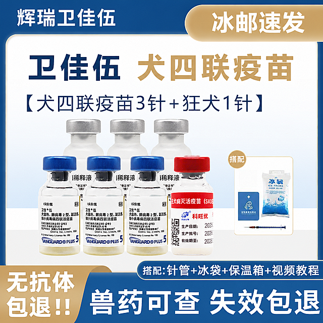 整体排版和布局完全不变，只修改文字颜色和边框颜色，让整体颜色搭配更协调干净，不需要添加任何额外的装饰元素，禁止添加猫爪及其他装饰图案