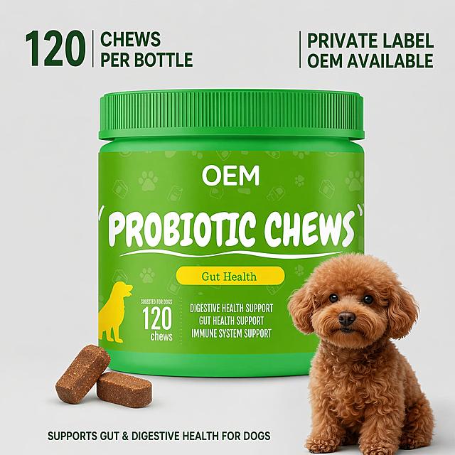 [主图-8] Package specification and OEM private label display. Pure light gray background. Style: clear full information page. Image quality: commercial product photography, soft light, clear details. Elements: original green bottle of probiotic chews placed in center, text "120 CHEWS PER BOTTLE" at top left, "PRIVATE LABEL OEM AVAILABLE" at top right, bottom small text "SUPPORTS GUT & DIGESTIVE HEALTH FOR DOGS". Keep product appearance completely consistent with input image, product size accounts for about 70% of frame. Layout clean, compliant with Amazon rules, no excessive marketing text. Light and shadow: soft studio lighting, uniform light, product clear, soft shadow. Color scheme: product green, background light gray, text dark green clear contrast. Perspective and composition: centered product, text placed in negative space, does not cover product. Output requirements: 1:1 ratio, text clear, ultra high definition commercial photography quality. Negative prompt: deformation, text confusion, product blurred, watermark, platform logo, Chinese characters, exaggerated promotional words.